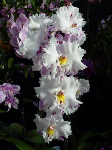 P1050142